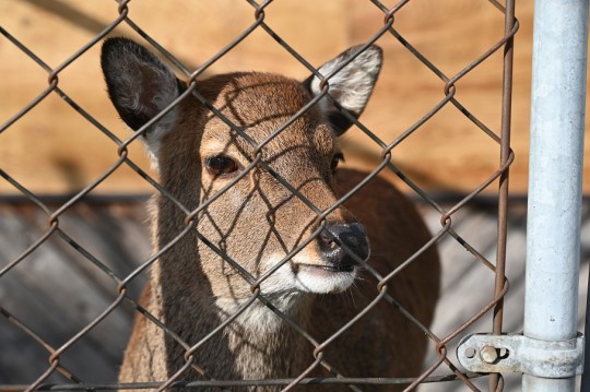 村松公園①